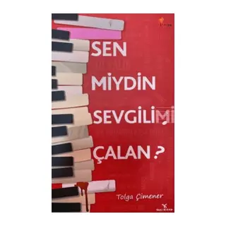 Sen miydin Sevgilimi Çalan?