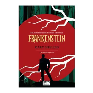 Frankenstein (Bez Ciltli)