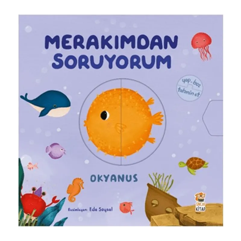 Merakımdan Soruyorum - Okyanus