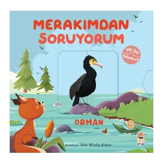 Merakımdan Soruyorum - Orman