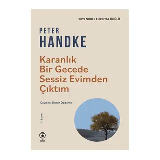 Karanlık Bir Gecede Sessiz Evimden Çıktım