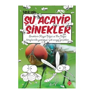 Şu Acayip Sinekler