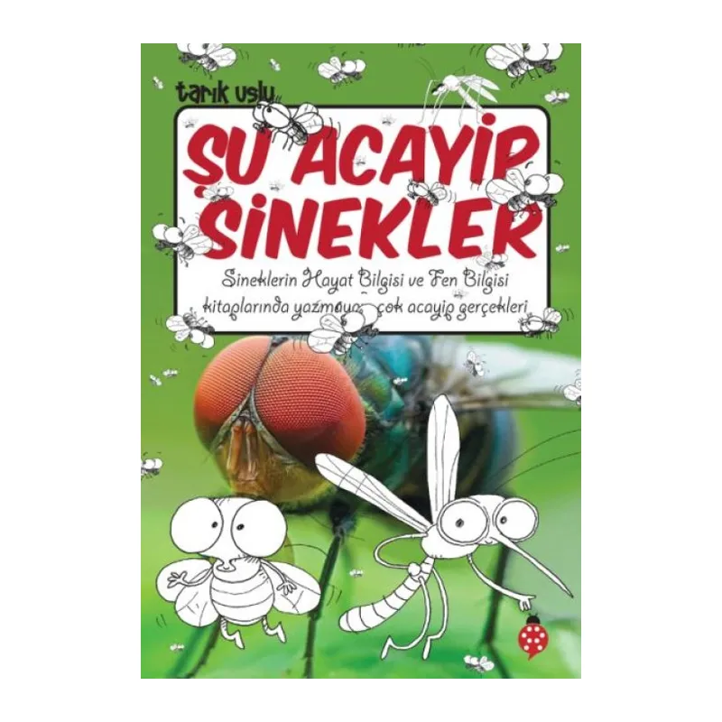 Şu Acayip Sinekler