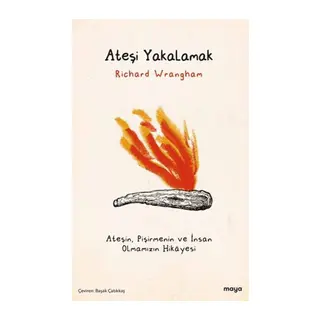 Ateşi Yakalamak