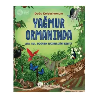 Yağmur Ormanında