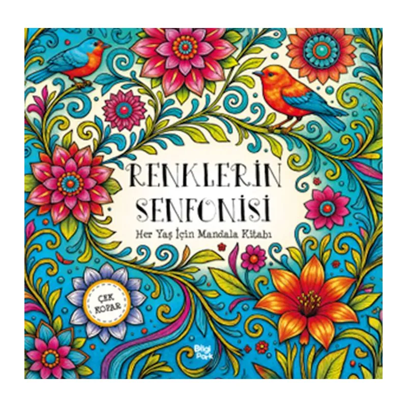 Renklerin Senfonisi – Her Yaş İçin Mandala - Çek Kopar