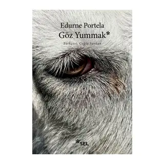 Göz Yummak