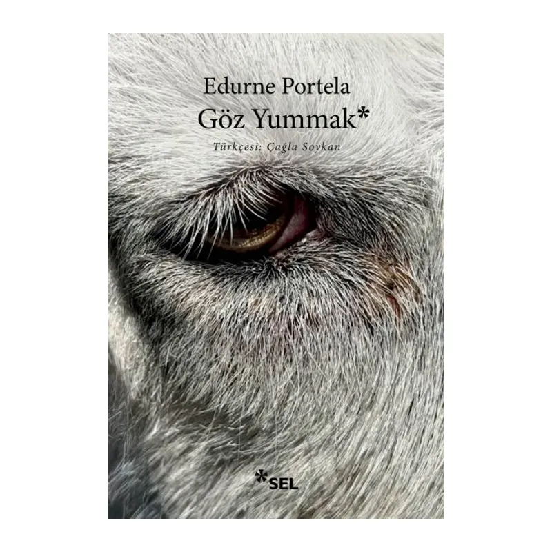 Göz Yummak