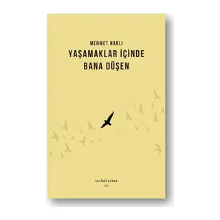 Yaşamaklar İçinde Bana Düşen