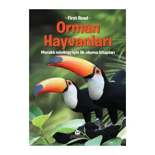 Orman Hayvanları