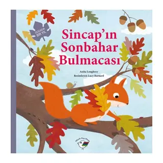Sincap’ın Sonbahar Bulmacası – Doğada Bir Yıl