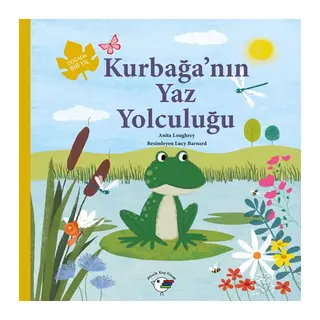 Kurbağa’nın Yaz Yolculuğu – Doğada Bir Yıl