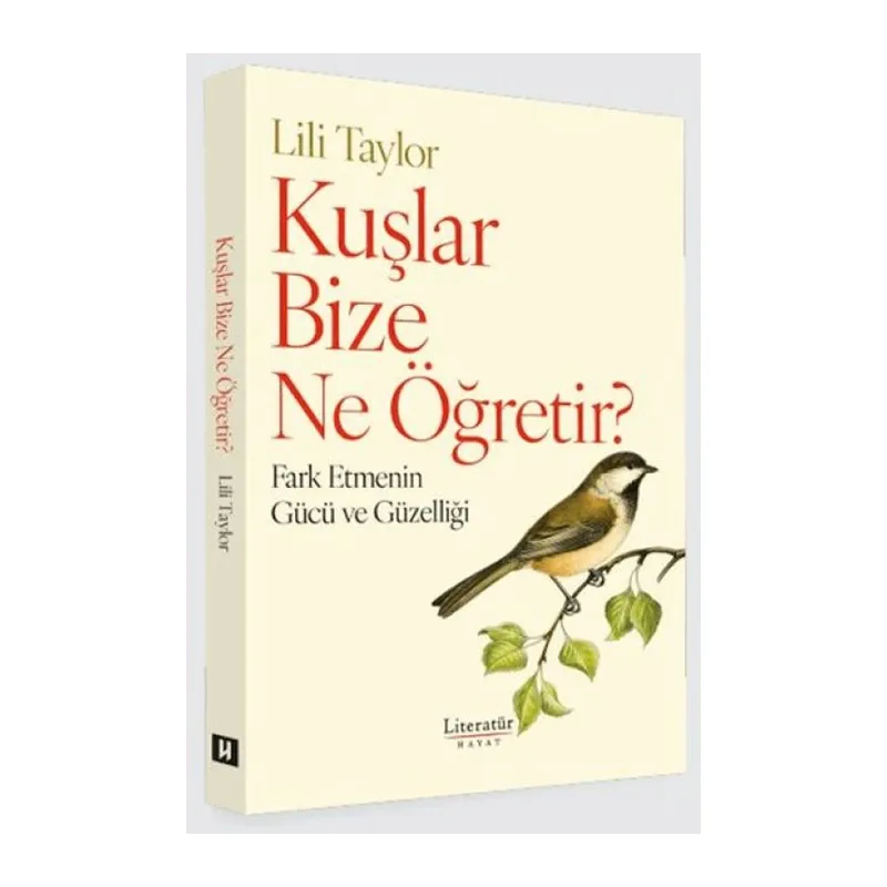 Kuşlar Bize Ne Öğretir?