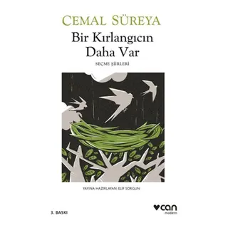 Bir Kırlangıcın Daha Var