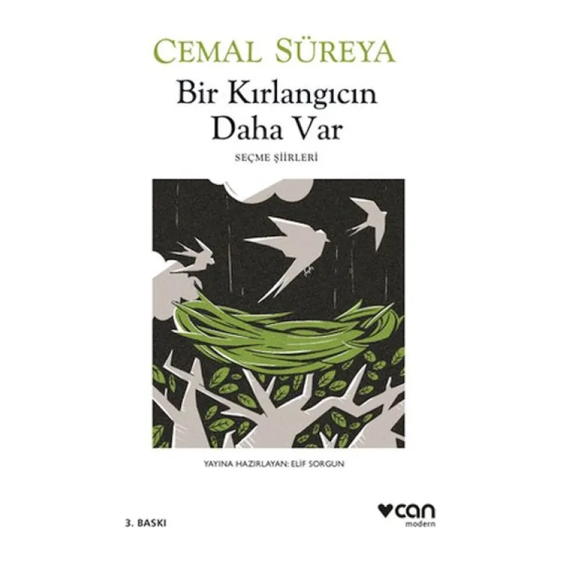 Bir Kırlangıcın Daha Var