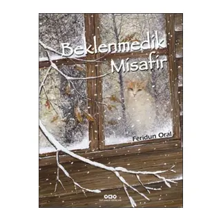Bemedik Misafir