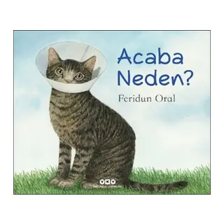Acaba Neden?
