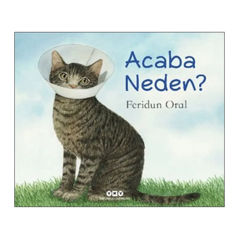 Acaba Neden?