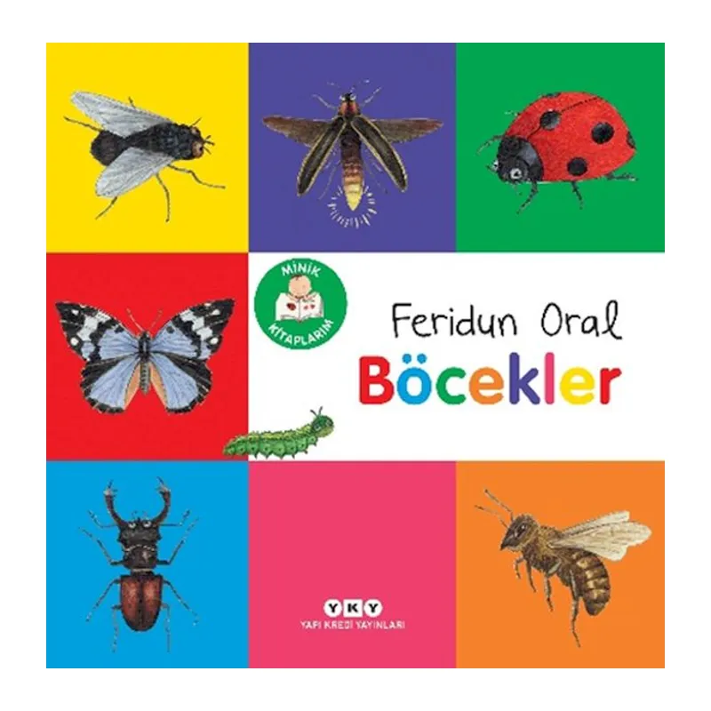 Minik larım – Böcekler