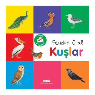 Minik larım – Kuşlar