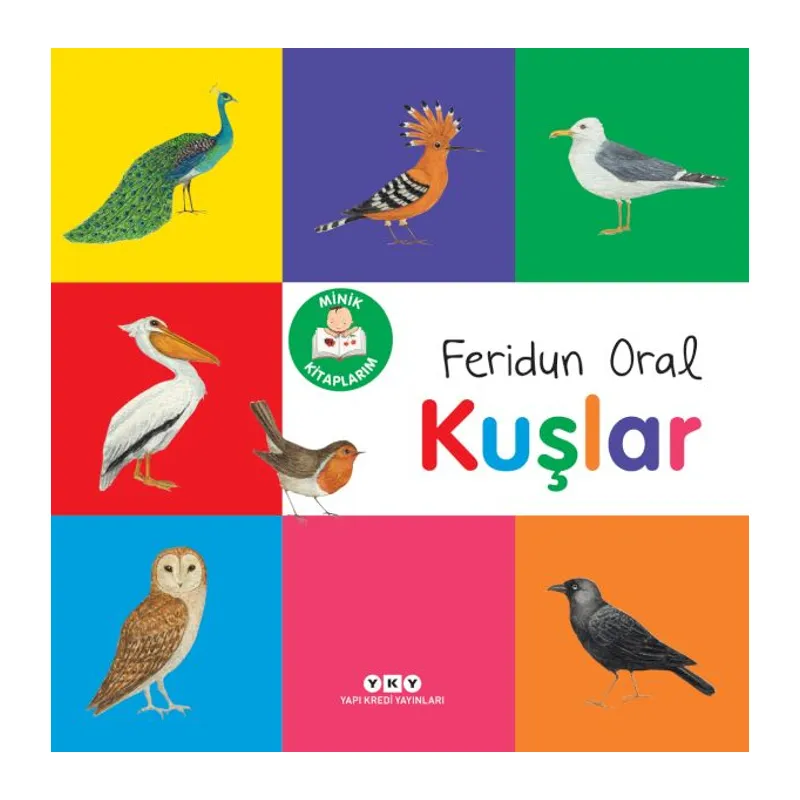 Minik larım – Kuşlar
