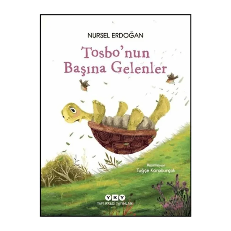 Tosbo'nun Başına Gelenler