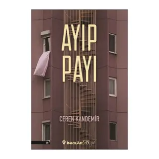 Ayıp Payı