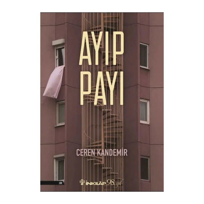 Ayıp Payı