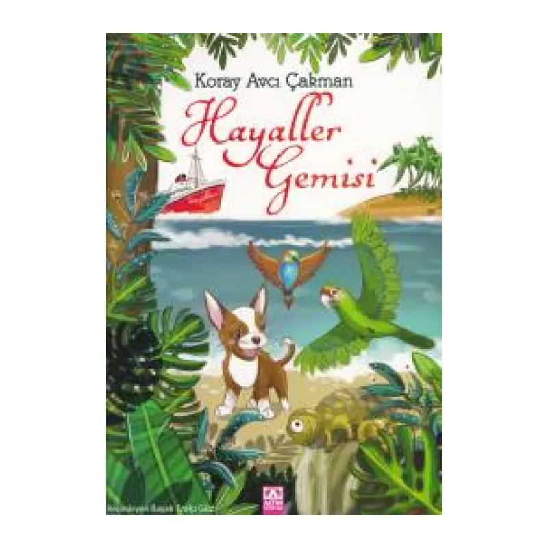 Hayaller Gemisi