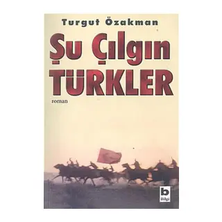 Şu Çıın Türkler