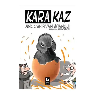 Kara Kaz