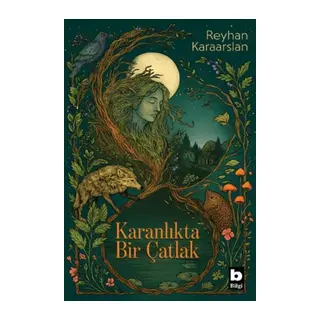 Karanlıkta Bir Çatlak