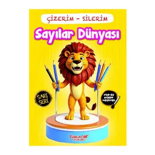 Çizerim Silerim - Sayılar Dünyası