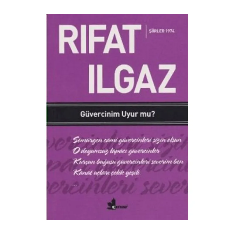 Güvercinim Uyur mu?