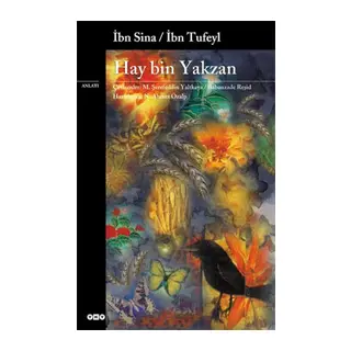 Hay Bin Yakzan