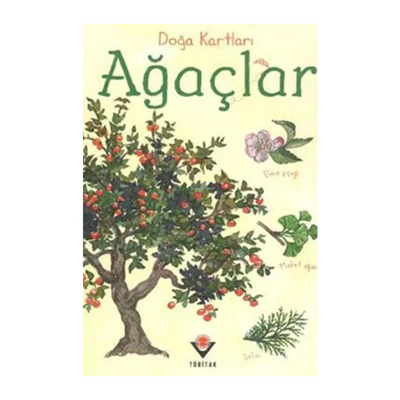 Doğa Kartları - Ağaçlar