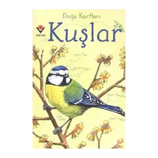 Doğa Kartları - Kuşlar