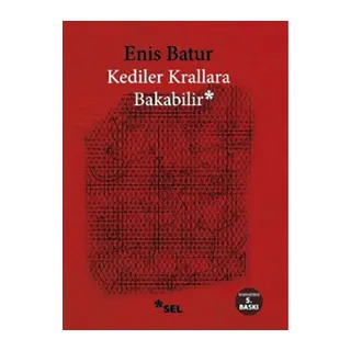 Kediler Krallara Bakabilir