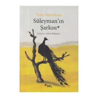 Süleyman’ın Şarkısı