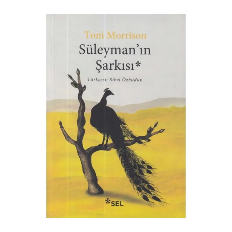 Süleyman’ın Şarkısı