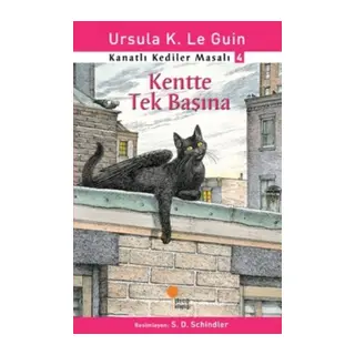 Kanatlı Kediler Masalı 4 - Kentte Tek Başına