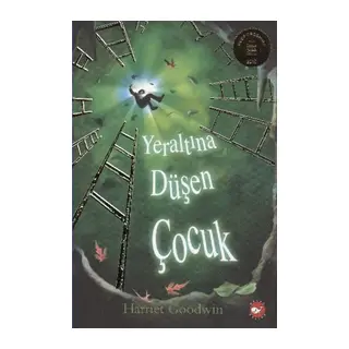Yeraltına Düşen Çuk