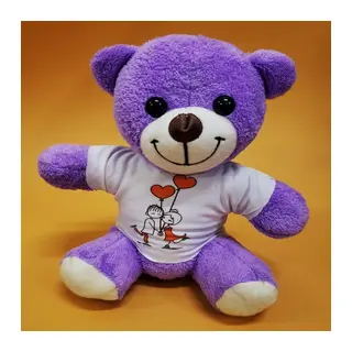 Tişörtlü Peluş Oyuncak Ayı