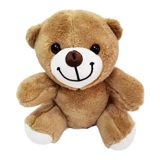 Sevimli Peluş Ayicik