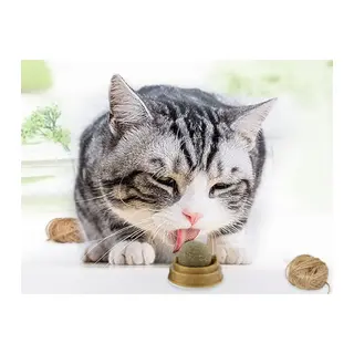 Kedi Nanesi (Catnip) Oyun Topu
