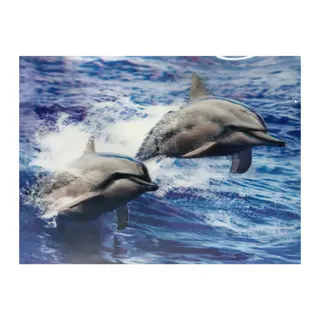 3 Boyutlu Resim Sevimli Yunuslar İkili Yunus Resmi Tablosu 30x40 cm