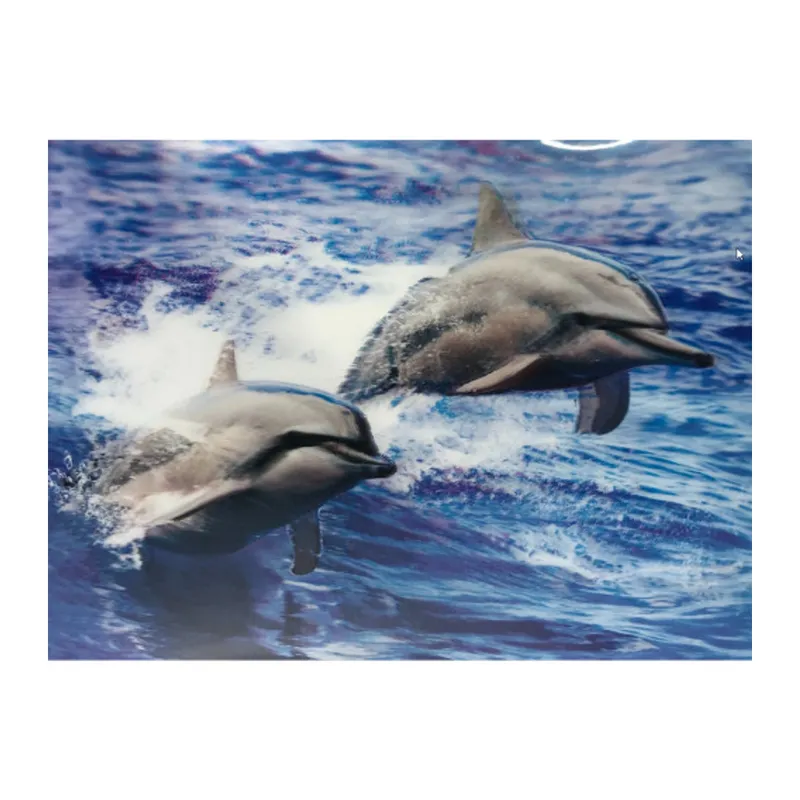 3 Boyutlu Resim Sevimli Yunuslar İkili Yunus Resmi Tablosu 30x40 cm