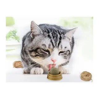 Kedi Otu Oyun Topu Cat Mint