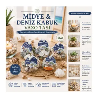 15 ADET FİLELİ RENKLİ MİX EKO MİDYE - DENİZ KABUK VAZO TAŞI (5643)