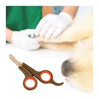 Küçük Çelik Uçlu Kedi Köpek Evcil Hayvan Tırnak Makası Pati Bakım Aleti Ergonomik Kaymaz Sap (5643)